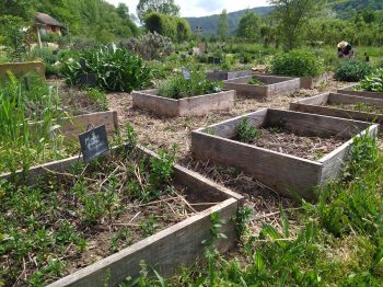 plantesCompagnesMai2026_resize